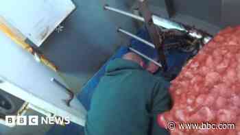 Fishermen jailed after dumping lobster catch