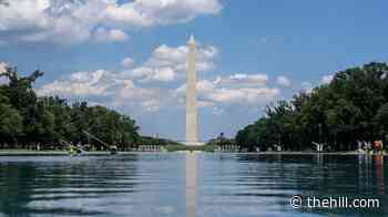 Trump says 'multiple arrests' made at Reflecting Pool amid vandalism claims