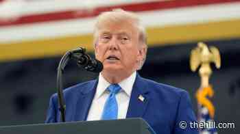 Trump says Lincoln Memorial Reflecting Pool was vandalized, defends response to algae bloom