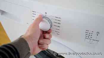 Washing machines will be free of bacteria and bad smells when 1 bathroom item is poured in