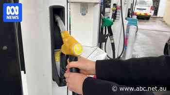 Why fuel excise cut is being extended by another month but at smaller discount