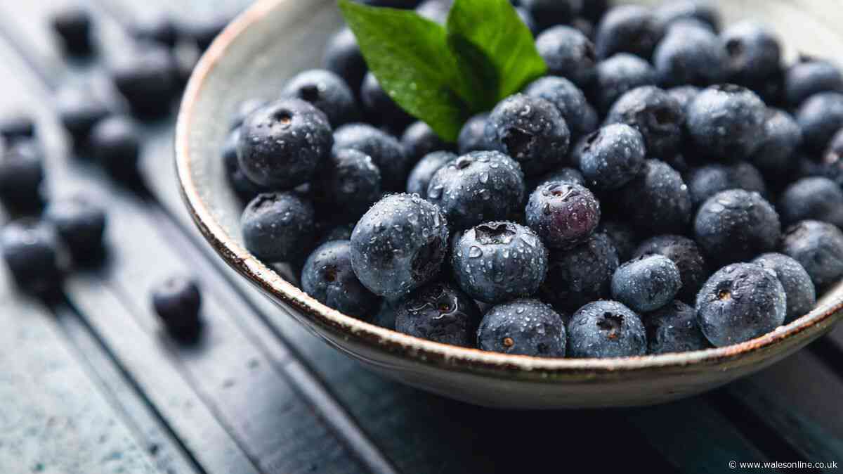 Households urged to remove blueberries from plastic containers to keep them fresh longer