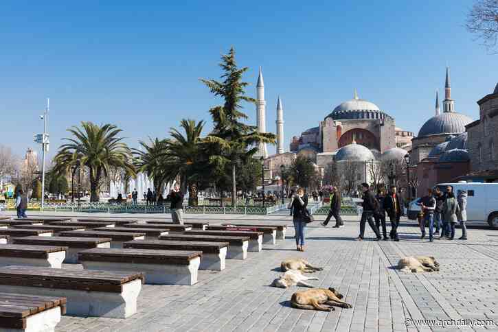 Designing for Stray Cities: Architecture Beyond the Human