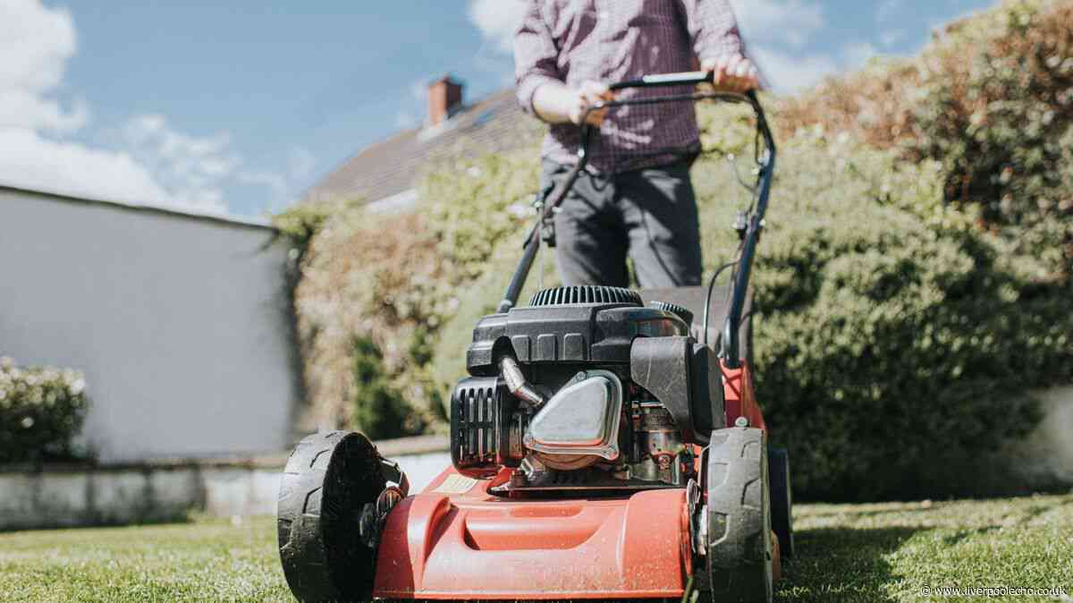 'Ideal time' to mow your lawn in a heatwave to avoid yellow and weak grass