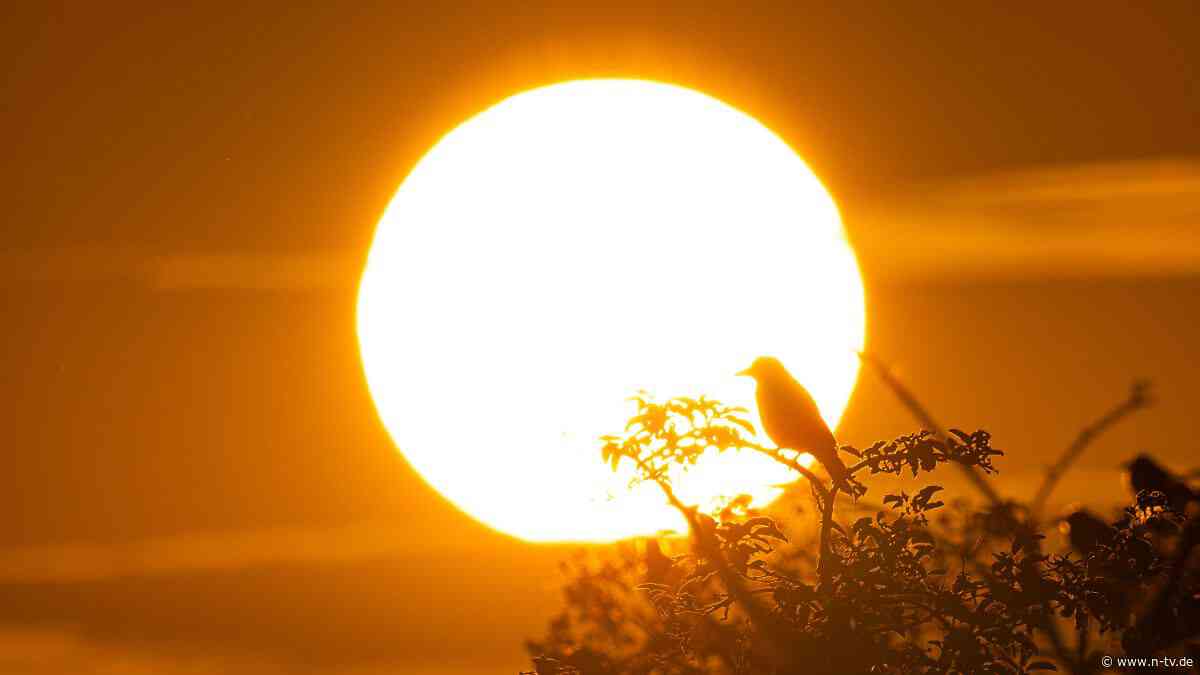 Längster Tag des Jahres beginnt: 21. Juni - Erhellendes zur Sommersonnenwende