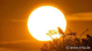 Längster Tag des Jahres beginnt: 21. Juni - Erhellendes zur Sommersonnenwende