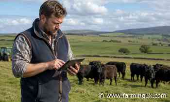 Researchers seek farmer input on AI and net zero tools