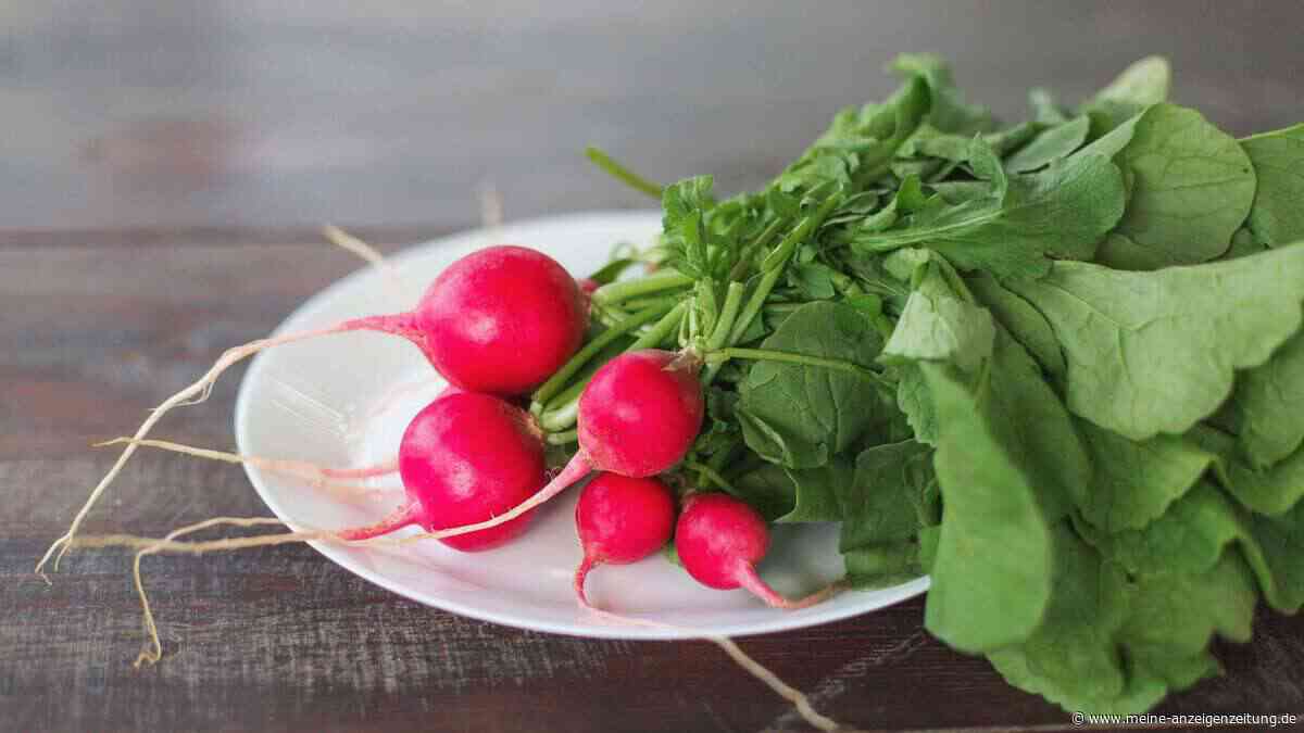 Radieschenblätter essen: So bereiten Sie das würzige Grün richtig zu