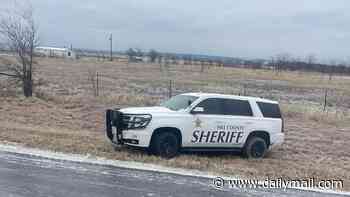 Six people killed, including two children, when car crashes head first into van on Texas highway