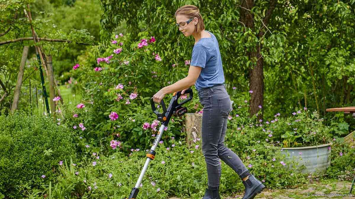 Gardener ditches heavy petrol strimmer for 'super light' gadget that gives 'perfect cut'