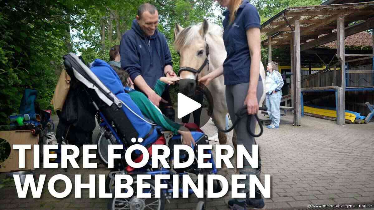 Therapeutisches Reiten im Video: Wie Pferde Kinder mit Behinderung stark machen