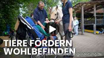 Therapeutisches Reiten im Video: Wie Pferde Kinder mit Behinderung stark machen