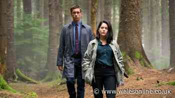 'Gripping' BBC crime drama 'better than Happy Valley and Line of Duty'