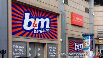 B&M shoppers can modernise their gardens with 'stylish' £10 'New York' accessory