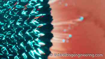 Scientists develop high-speed ion transport membranes for clean energy applications