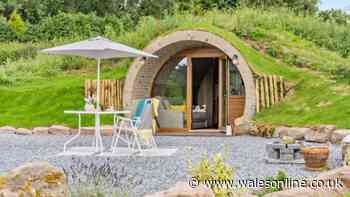 Dog-friendly Hobbit-style holiday home 'just magical' with 'spectacular' views