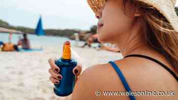 Doctor urges people to 'turn suncream bottles around' before applying