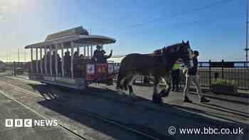 MHKs to vote on &pound;3m horse tram extension plan