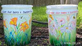 Mosquito dunks are selling out as bug season and 'bucket of doom' trend collide