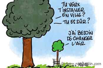 Tribune libre. Catherine Ducatillion : « Planter des arbres en ville, est-ce souhaitable et est-ce toujours possible ? »