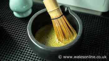 Matcha vs green tea: key differences, caffeine content and how to prepare both