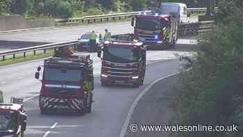 Emergency services deal with early morning M4 crash