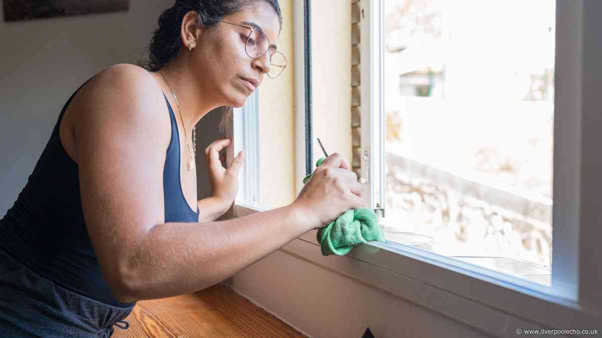 Ditch spray and glass cleaner as 1 cupboard item promises 'perfect' streak-free windows
