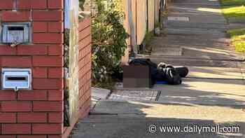 Bleak reality in Melbourne laid bare as grim photo shows woman suffering overdose passed out in the street