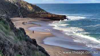 Whale carcass forces Bells Beach to close