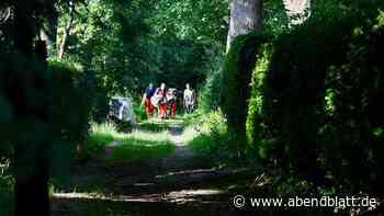 Dirt-Bike-Unfall an der Landesgrenze: Zwei Jugendliche verletzt