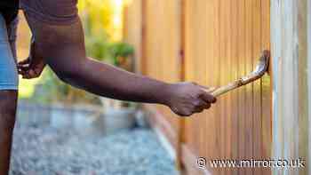 Painter gets 'revenge' on customer who refused to pay for garden fence job