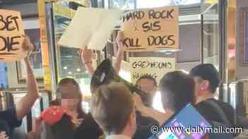 Moment anti-greyhound racing protesters storm Hard Rock Café with placards and megaphones as confused diners watch on