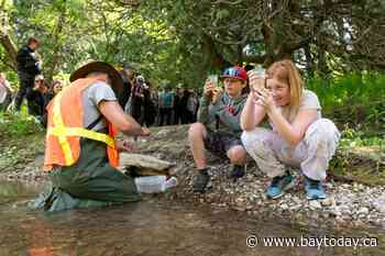 'Bring them back': Students help restore Atlantic salmon population in Lake Ontario