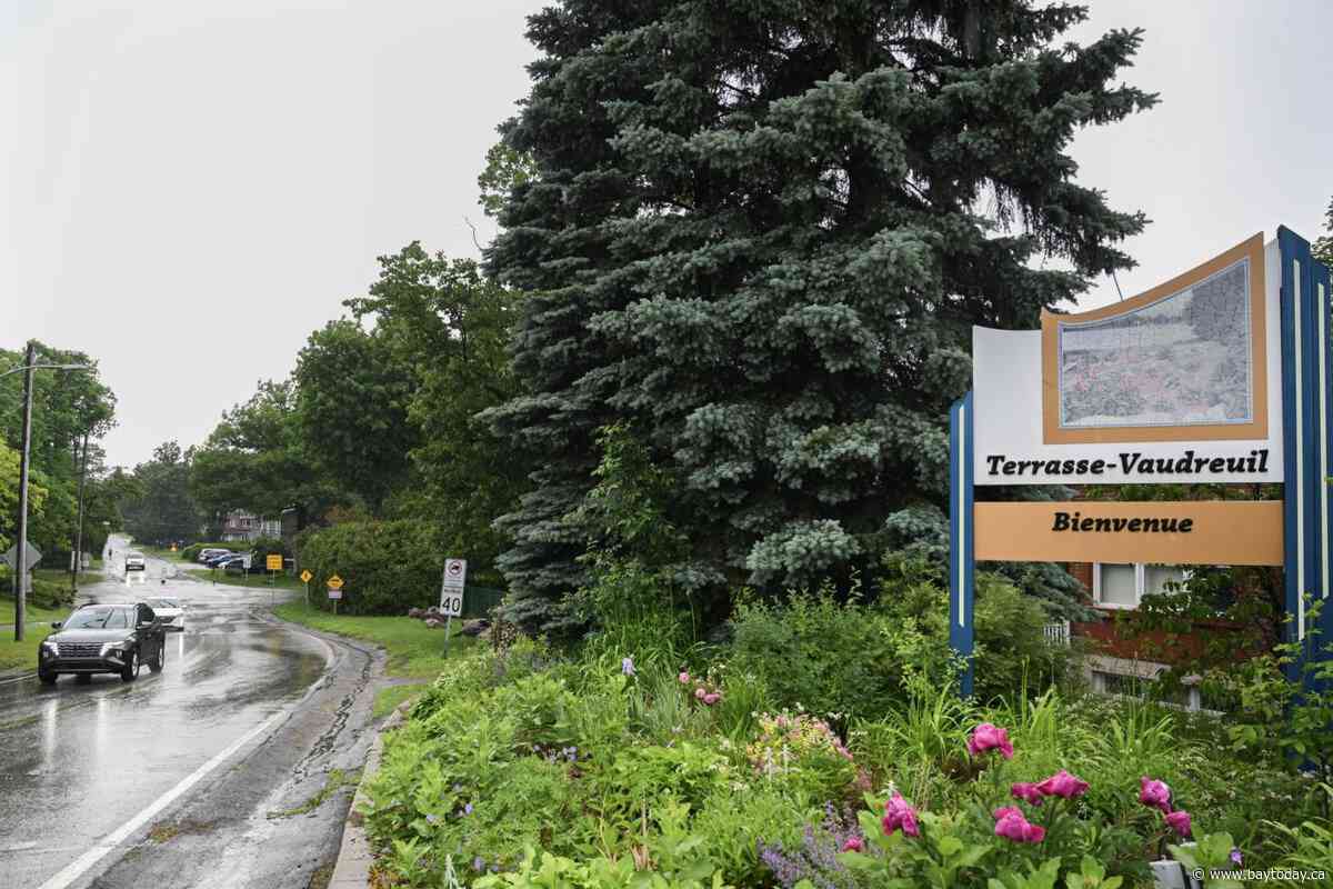 Quebec town of Terrasse-Vaudreuil recognizes trees as living beings with rights