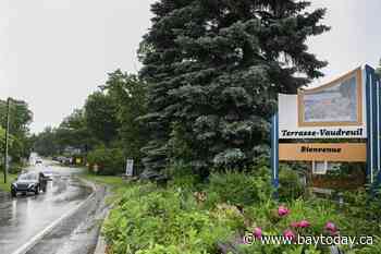 Quebec town of Terrasse-Vaudreuil recognizes trees as living beings with rights