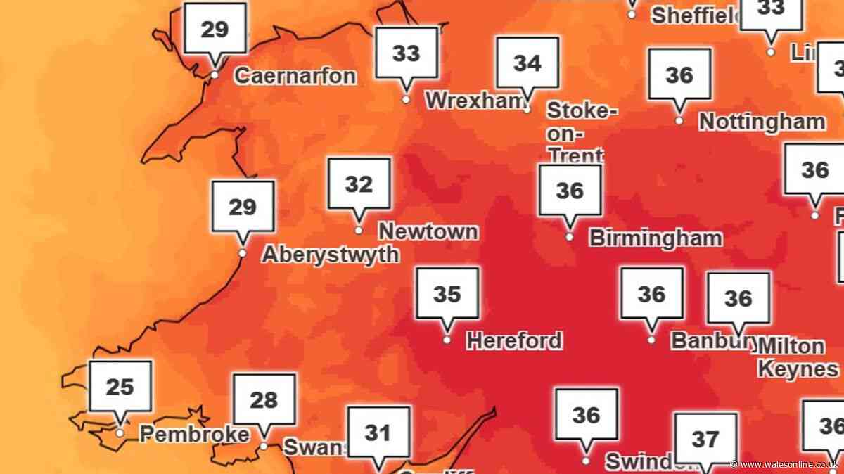 Met Office warns heatwave is developing into 'severe weather event' as they update weather warning