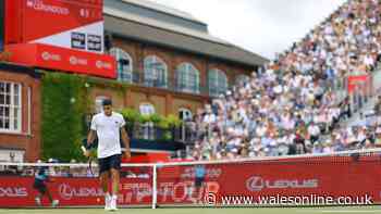 Queen's men's tennis final prize money: How much the winner and runner-up get
