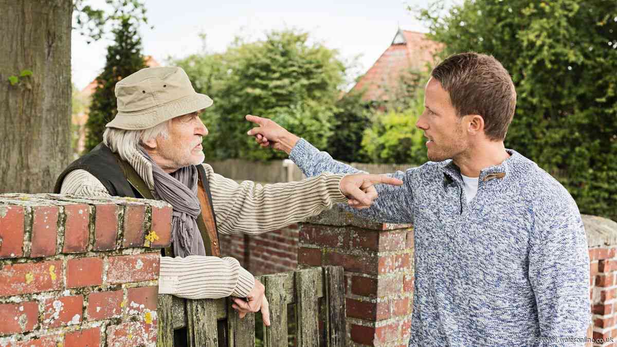 Lawyer shares the number one cause of neighbour disputes - and it's not trees