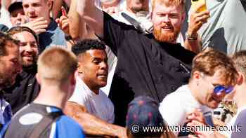 England rugby star admits he ripped fan's shirt as unrest erupted among crowd