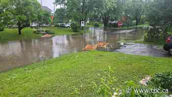 More rain expected as Montreal area deals with flooding, street closures and power outages