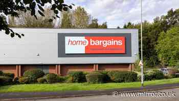 New crisps on Home Bargains shelves and fans want them 'permanently'