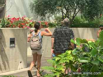 Spend Father's Day in the Garden at the Foellinger-Freimann Botanical Conservatory