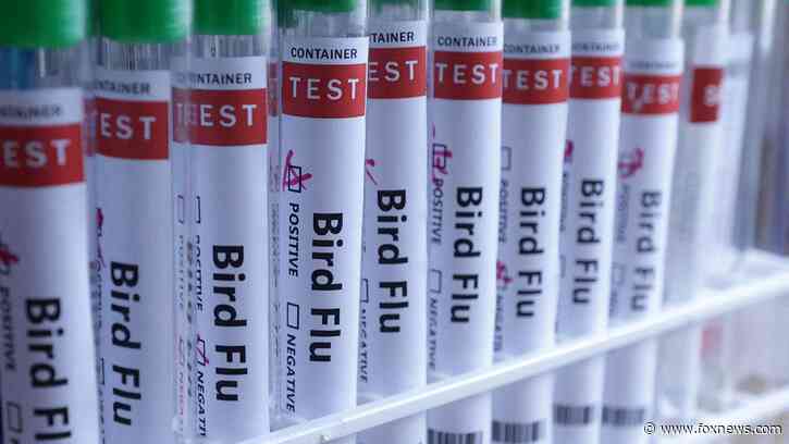 H5N1 bird flu confirmed in Australia for the first time, meaning virus has now reached every continent