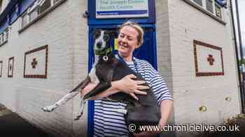 Newcastle centre helping to reduce barriers for homeless people with pets across the UK