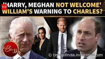 Prince William Raises Concerns About Harry, Meghan's Britain Visit Amid Media Fears: Reports