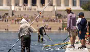 Trump says vandalism at Reflecting Pool will force drainage for 'necessary repairs'