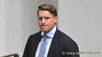 The nation's eyes were on Pauline Hanson. But it was Andrew Hastie who made a big leadership move last week: PETER VAN ONSELEN