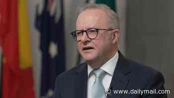 Anthony Albanese shuts down swirling succession rumours about the nation's top job with a blunt response