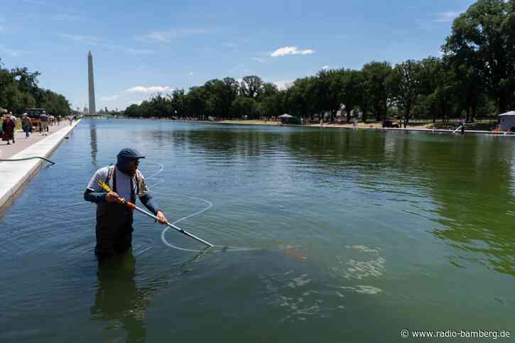 Grüner Pool in Washington – Trump sieht «Vandalen» am Werk