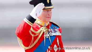 King Charles 'doesn't need' critical document - but he has it anyway